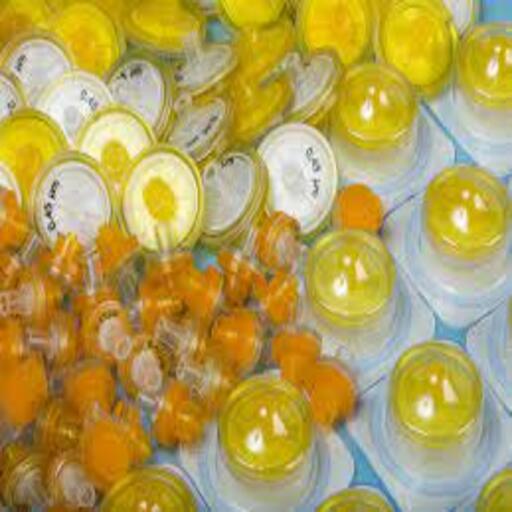 SYRINGE FILTER NYLON DIA. 13MM - 0.22um - SERIE T EACH