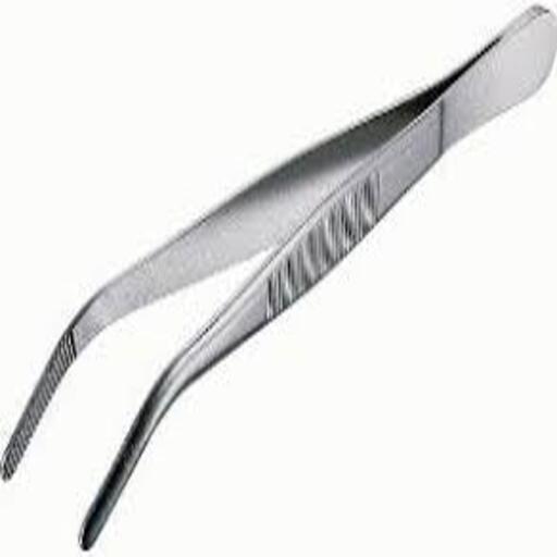 ANATOM. BLUNT FORCEPS