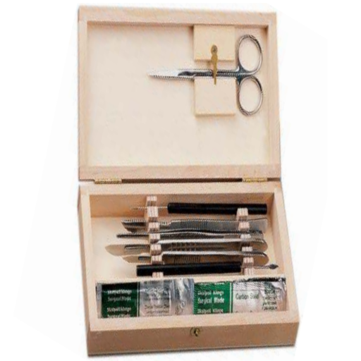 DISSECTING INSTRUMENTAL CASE